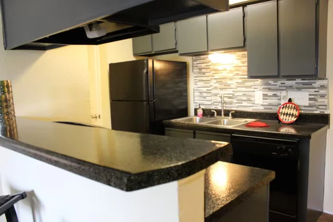 1 Bed 1 Bath b 0111 floor plan